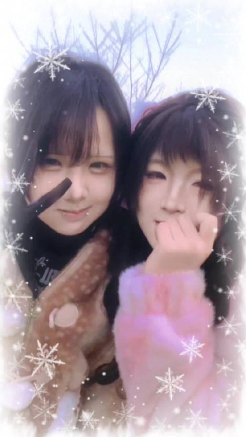 随后是我们的第二个春天