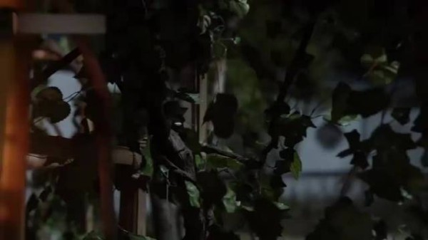 覆流年:小妾怀上身孕,以为能够母凭子贵,不料王爷对她这态度!