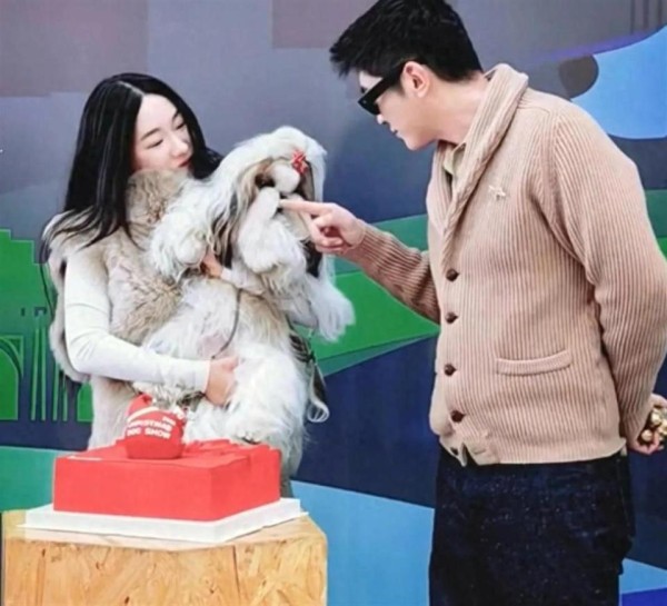 偶遇杜江夫妇参加犬展,霍思燕穿皮草贵气十足,颜值在线又瘦又美