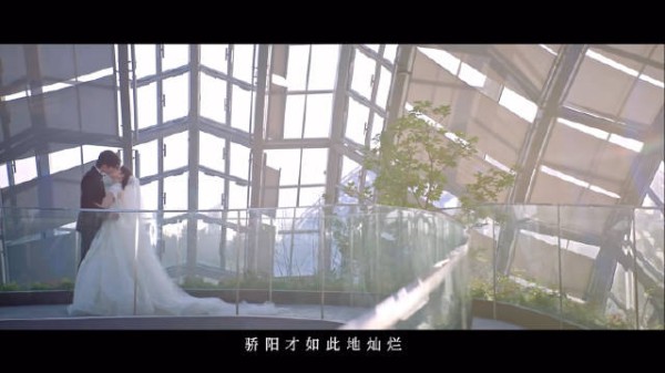 龙麦感谢粉丝支持，称骄阳因小太阳更灿烂