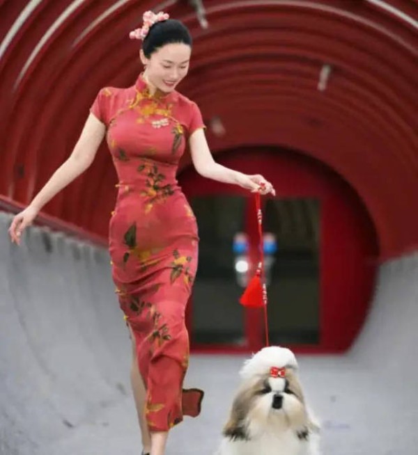 早前霍思燕身穿大红旗袍，带着自己的宠物狗拿下冠军。