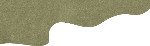 《张居正》：一座孤峰，万重山影