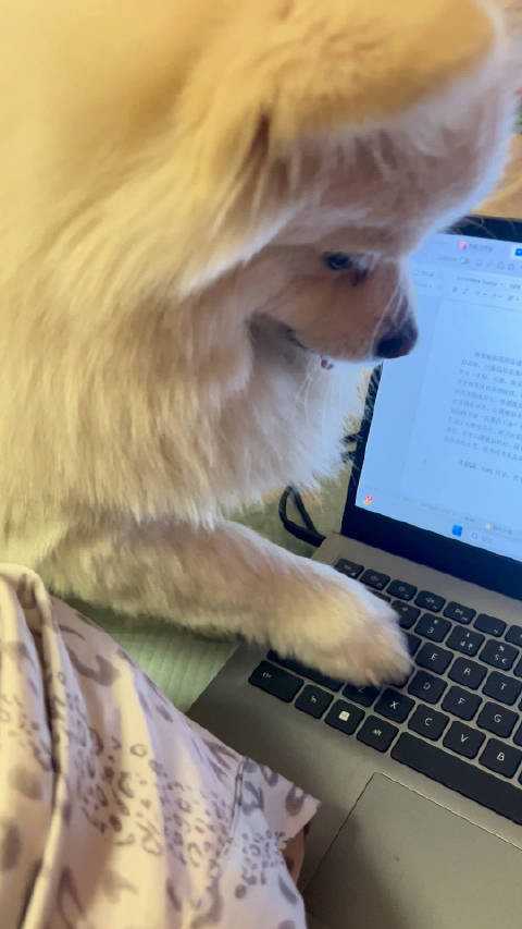 上辈子说“下辈子再写论文我就是狗”的人已经成功转世了