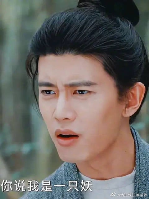 宣夜：你说我是一只妖，怎么可能