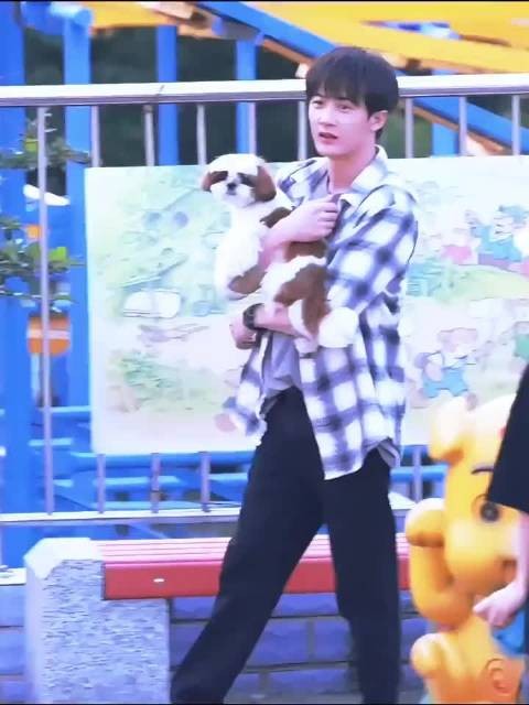 再不快乐的人看到这个美好的视频都要被治愈了吧