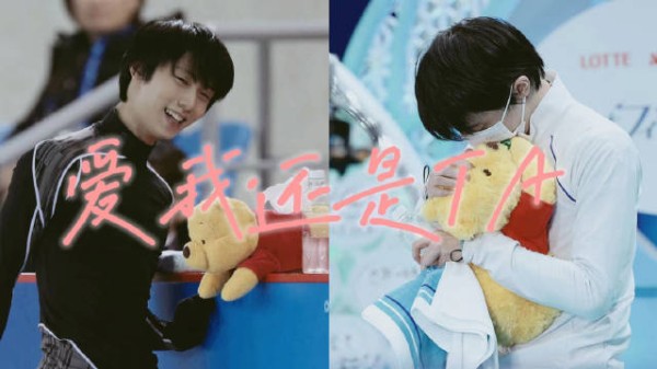 一只猫与两只熊的修罗场 爱我还是TA？