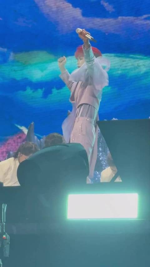 完全是甜豆来的