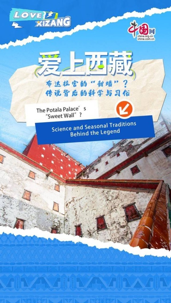 布达拉宫的“甜墙”？传说背后的科学与习俗