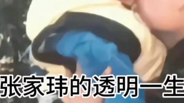 张凌赫初中即有梦女粉与黑粉，红黑体质从小显现