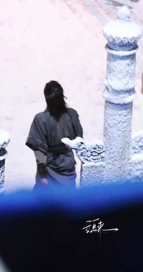 张凌赫归鸾路透曝光，救受伤兄弟背影引热议