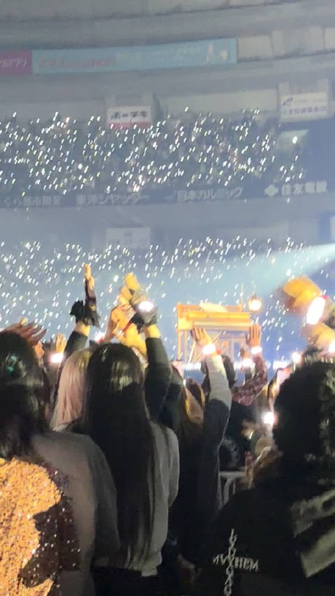 圆梦了 绿豆糕糕