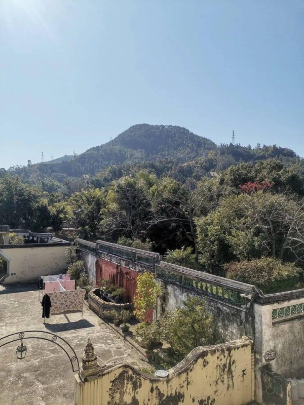 [百侯文学] 肇庆堂前思倩影，南阳岽上播芳蕤——仁登寿域辞旧迎新七律20首