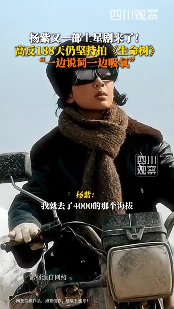 杨紫拍生命树边吸氧边背词