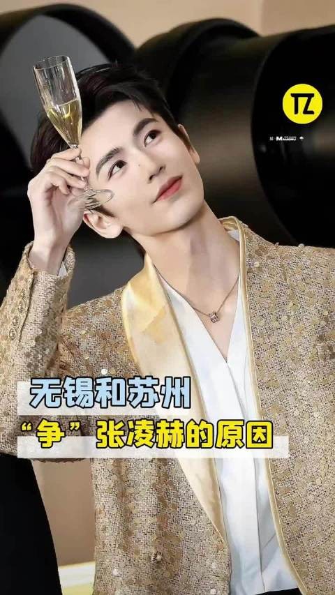 张凌赫一句话让无锡和苏州又争又抢哈哈哈！ 无锡 搞笑