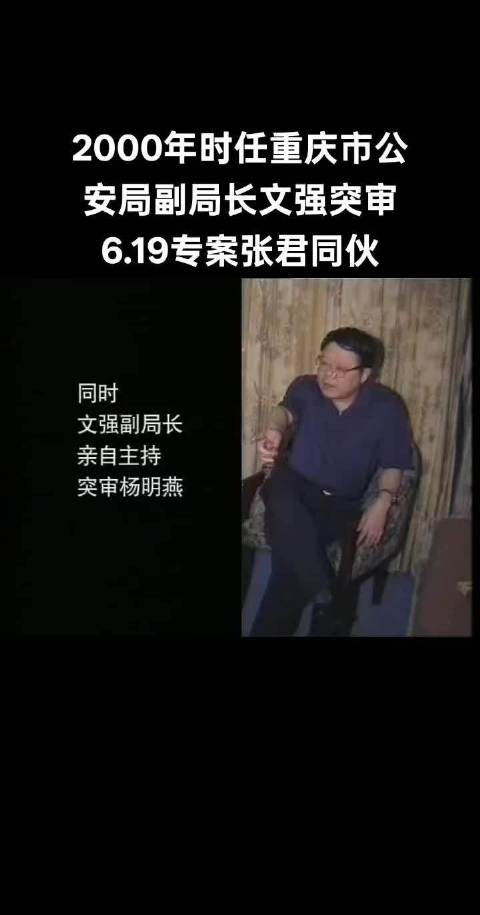 文强突审杨明燕！