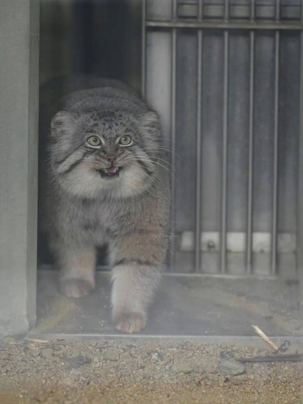 在广州逛街，被当成了捞女。过了这村就没这店的那种。