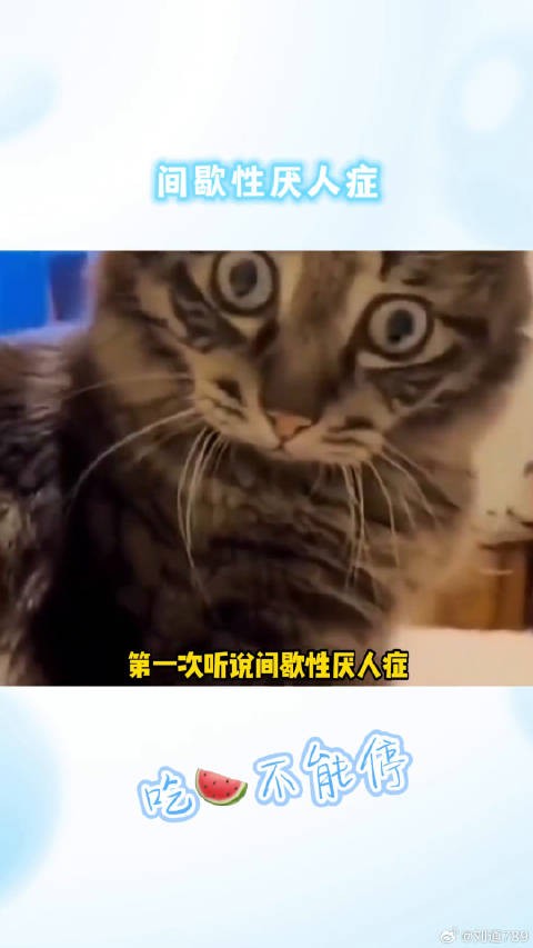 不懂就问大家日常相处真的会这样吗厌人症