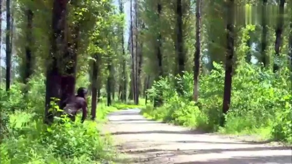 媳妇被当官的捅伤，哪料丈夫是部长，这下好看了