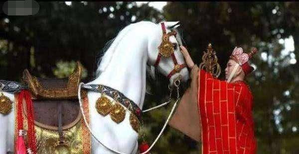 细品《西游记》中唐僧一行人的背景,如来佛祖的弟子也仅能排第二