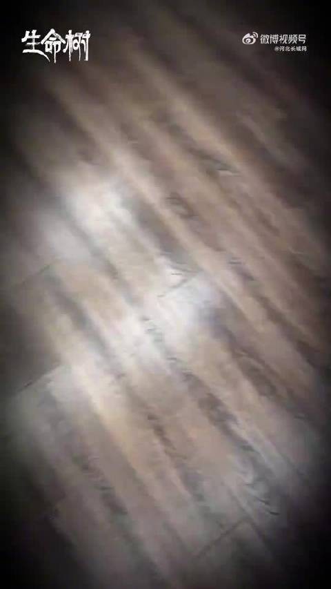 白菊警官@杨紫 来给大家送祝福啦!你准备好接收了?