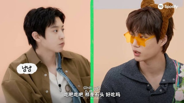 本体是边牧来着