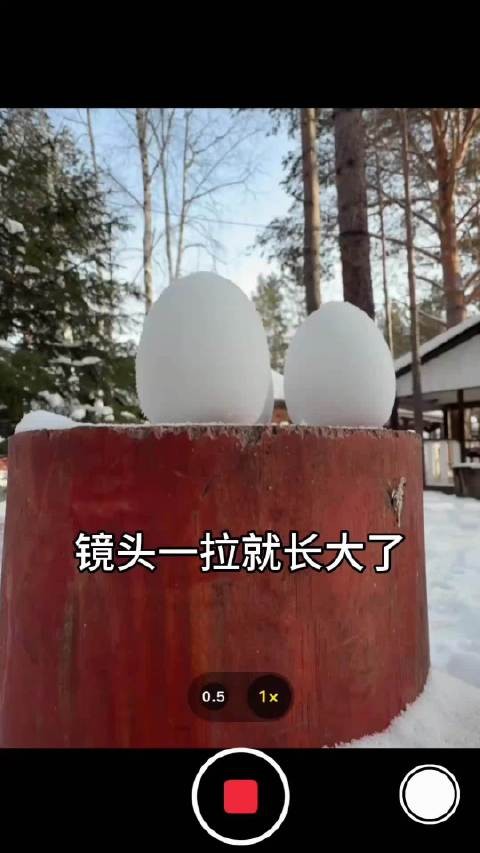 可我觉得很神圣啊