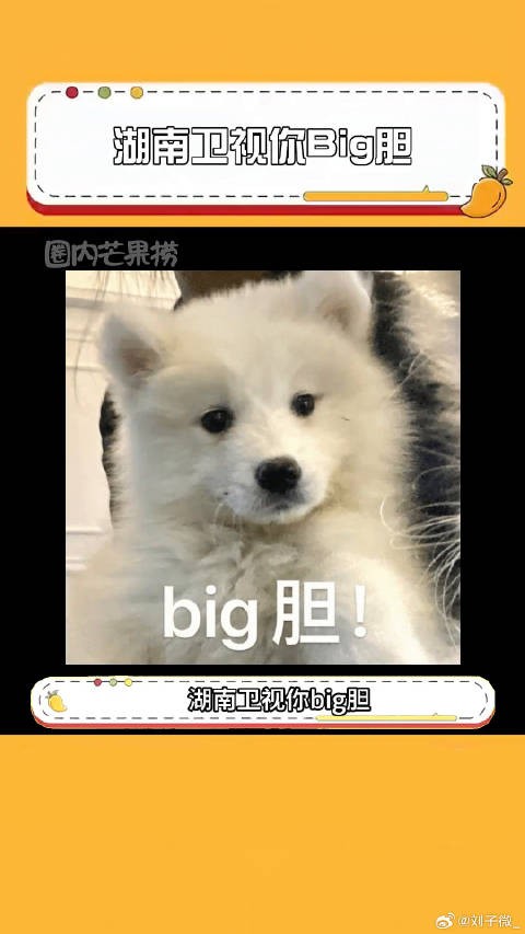 张天爱 乔欣 微博VC计划