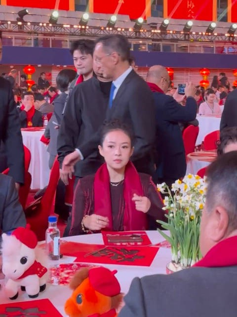 章子怡的面相和气质这么多年都没变过,还是张艺谋导演有眼光,押宝成功了