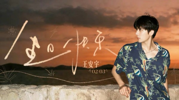 王安宇生日发文:“「二十八.」 ”