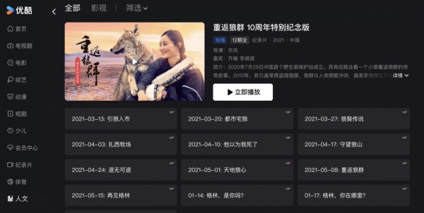 《重返狼群》火了，揭秘优酷独家上线12集完整版纪录片的背后