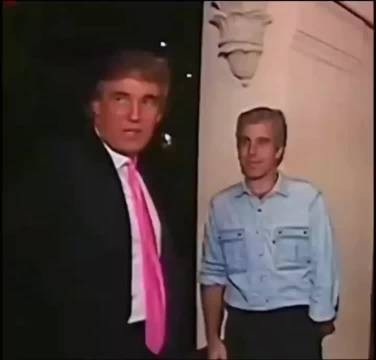 这是它们的罪行,一个个浮出水面