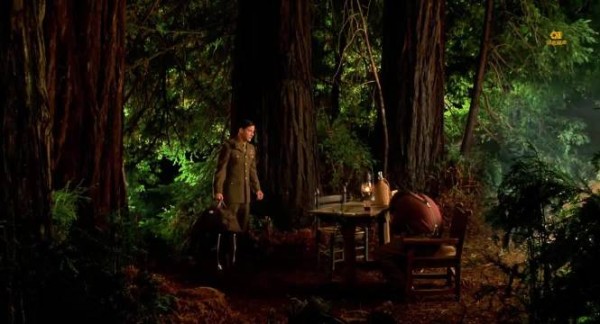 男子为爱解除婚约求婚遭拒，百年葡萄园毁于大火