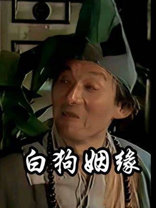 济公传奇荧幕《白狗姻缘》，见证活佛智斗犬县令
