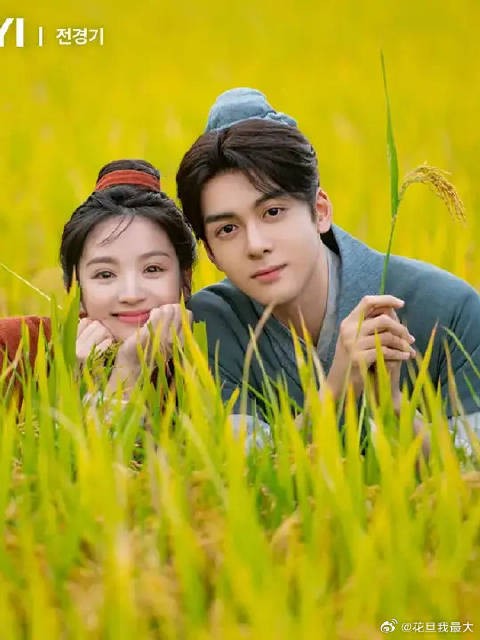 被剧情创伤了!轻喜剧变气人剧!