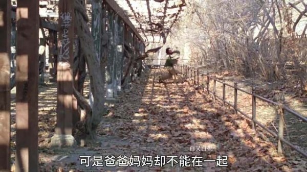 女子胜诉后放弃抚养权，选择成全前夫与孩子