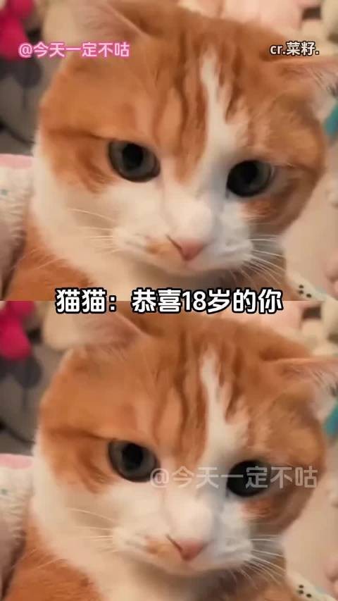 网友深情留言慢一点忘记我引共鸣