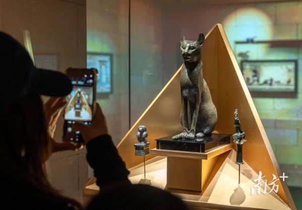 埃及展火爆，引进特展如何撬动文旅消费？