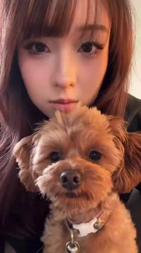 和布丁萌萌的看着你