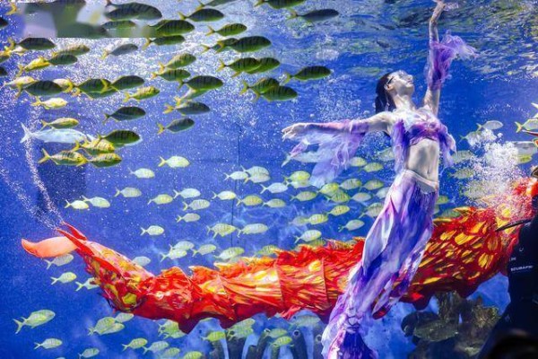 马年新春潮玩极地！嗨玩中国式新春派对