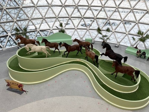 定了！上海科技馆大年初一试开放，首个特展将亮相