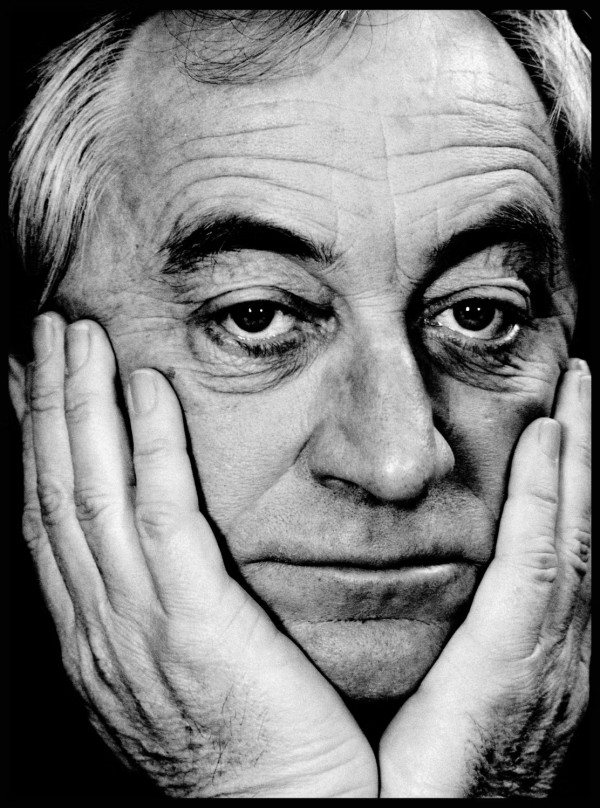 92岁荷兰作家塞斯·诺特博姆逝世：他总生活在历史的时刻