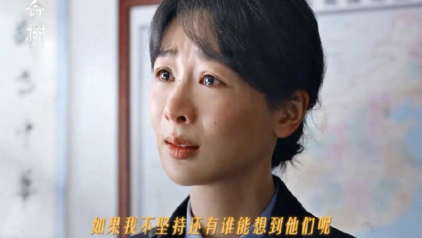 “过往的那些真相，不应该被草草埋葬” 杨紫白菊