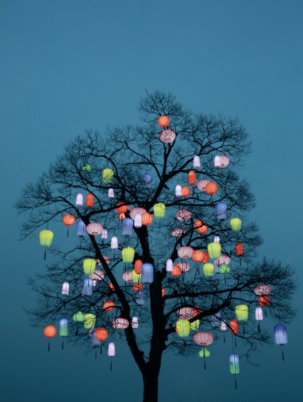 一整天超5万人，西溪灯会人潮如织，夜景引赞叹