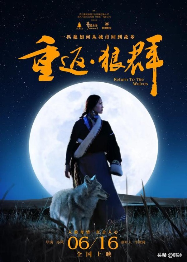 《重返·狼群》票房破4000万！一部纪录片凭什么在春节档逆袭