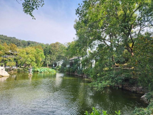 苏州传统节庆体验游定制指南：深度融入江南岁时风物诗