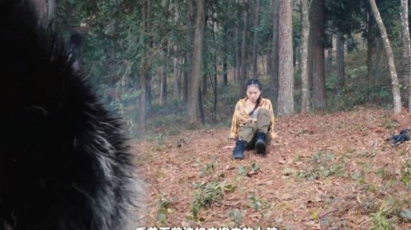 女孩被狼围攻，看她如何应对