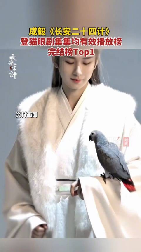 成毅长安二十四计播放量领跑:集均有效播放完结榜TOP1!