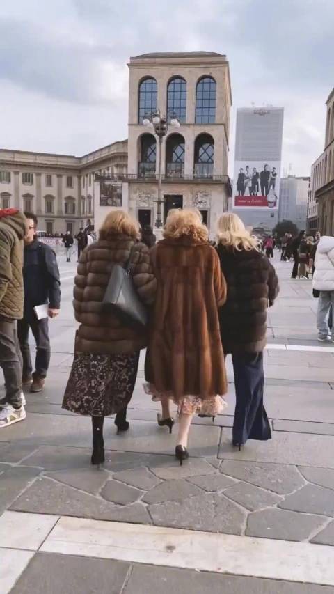 意大利米兰的优雅老奶奶们