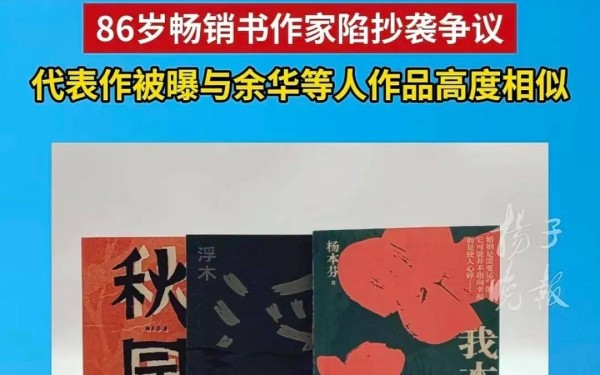 86岁杨本芬承认抄袭：不少网友选择包容，但守住创作底线不分年龄、不分出身