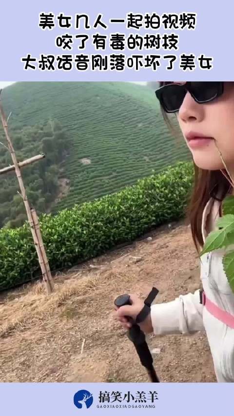 美女几人一起拍视频,咬了有毒的树枝,大叔话音刚落吓坏了美女